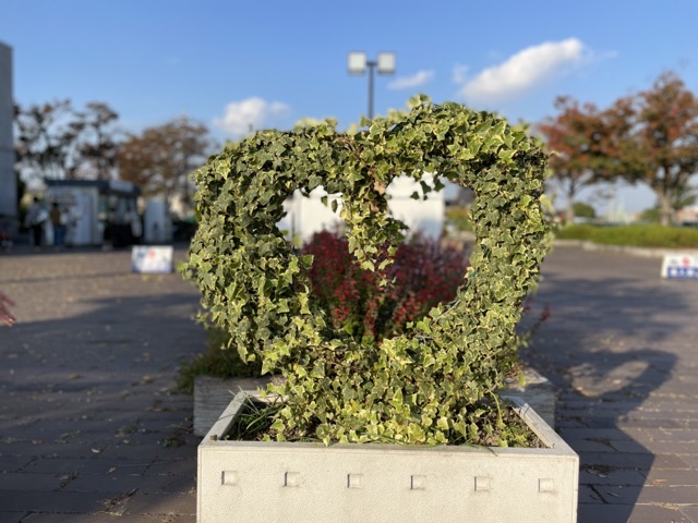 手入れも行き届いた公園内