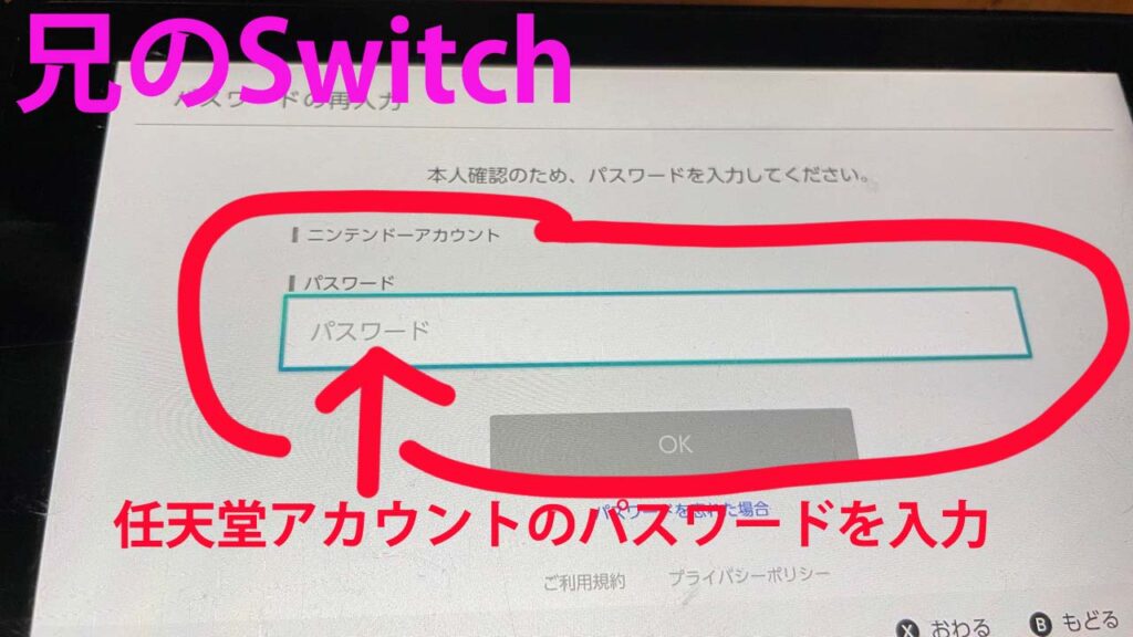 Switchで1個のダウンロードソフトを兄弟で使う説明